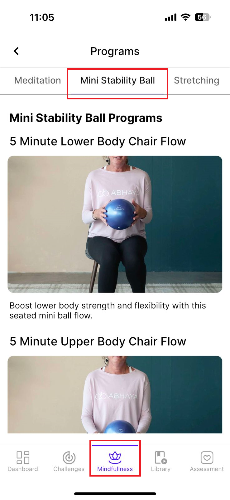 mini stability.png